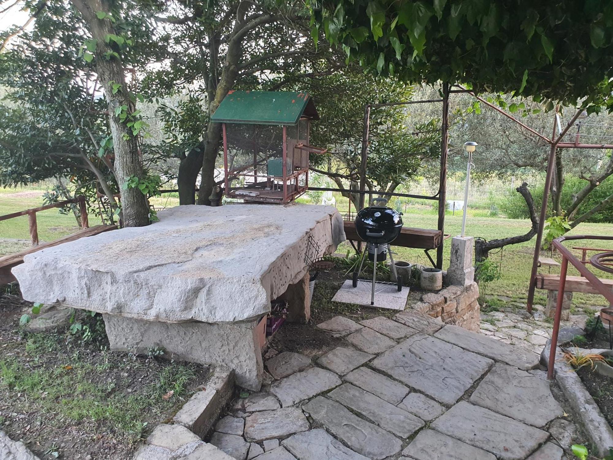 Apartma Vista Baredi إيزولا المظهر الخارجي الصورة